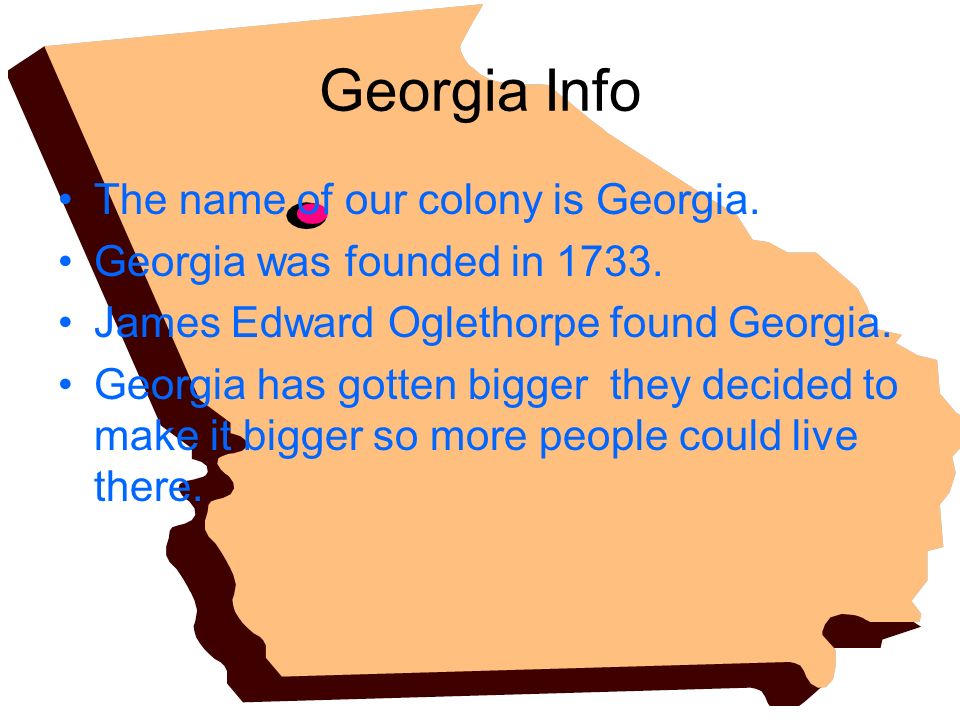 how did georgia make money in colonial times